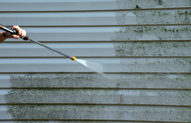 Best Residential Pressure Washing Services  in Dranesville, VA