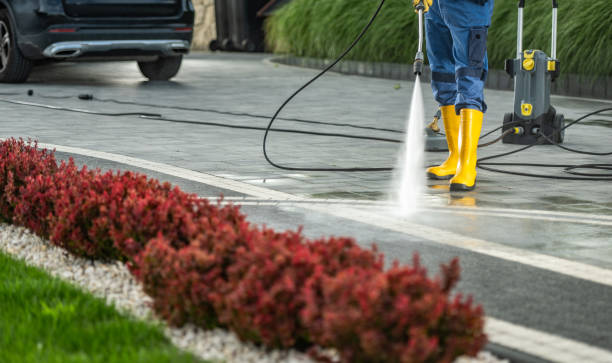 Best Commercial Building Pressure Washing  in Dranesville, VA